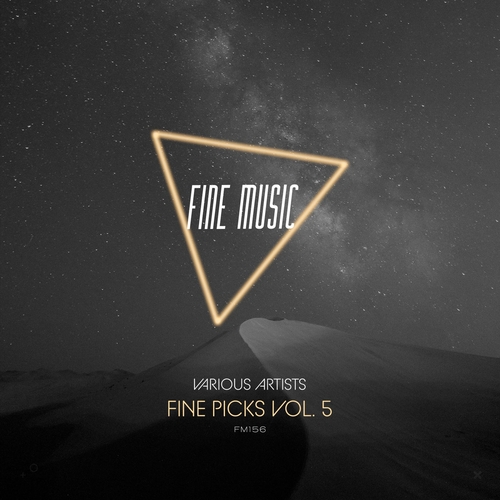 VA - Fine Picks, Vol. 5 [FM156]